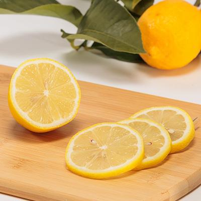 ふるさと納税 上島町 青いレモンの島　レモン約1kg【お試しセット】 |  | 02