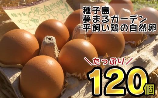 種子島 平飼い 産み立て たまご 夢まるガーデン 鶏卵 ×120個　NFN370【1000pt】 玉子 鶏卵 卵 産み立て 鶏 こだわり 発酵飼料 安納いも 安納芋 安全 新鮮 オリジナルレシピ
