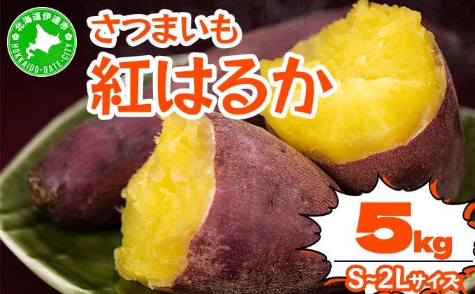 ＜先行予約＞《高糖度》さつまいも 紅はるか 5kg｜産地直送 熟成 サツマイモ 芋 甘い スイートヤバ芋 北海道 伊達市【55251148】