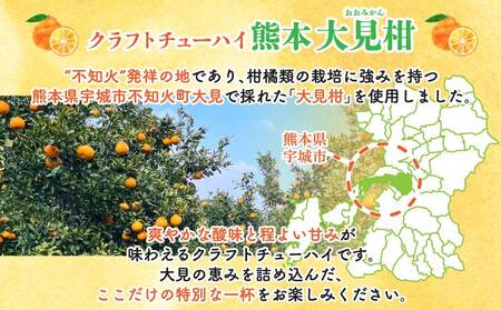 「寶CRAFT」熊本 大見柑 チューハイ 330ml 6本 九州限定