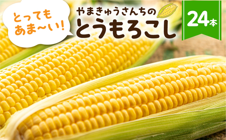 メロン くらい 甘い とうもろこし 24本 大粒 産地直送 数量限定 朝採り 先行予約 トウモロコシ コーン