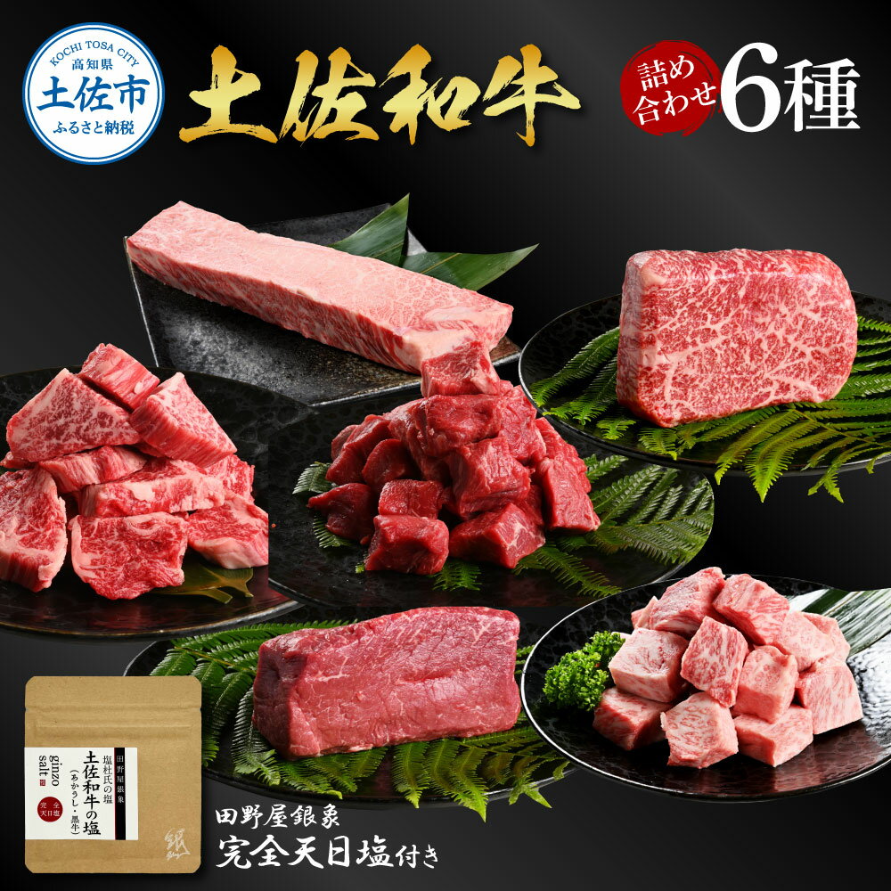 【ふるさと納税】土佐和牛詰め合わせ6種 長期熟成肉 6種 詰め合わせ 田野屋銀象 完全天日塩付き 牛肉 肉 お肉 和牛 国産 牛 赤身 ヒレ カルビ ロース ブロック サイコロステーキ 熟成肉 豪華 贅沢 市 高知県 土佐市 こうち 返礼品