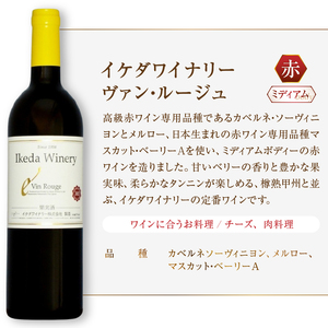 イケダワイナリー 2本セット【マスカットベリーA / ヴァン・ルージュ】（MG）B12-676【ワイン イケダワイナリー 赤ワイン 甲州市 山梨県】