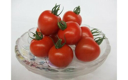 1013.【先行予約】【JA】ナンチューうまいトマト（中玉トマト）　A・250ｇ×8袋　※着日指定不可　※離島への配送不可　※2025年9月上旬頃～10月末頃に順次発送予定