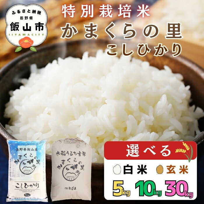 【ふるさと納税】＼ 特別栽培米 ／ かまくらの里 こしひかり 令和7年産 選べる 内容量 精米 5kg 10kg 玄米 30kg （株）とざま 【 お米 米 コメ 白米 コシヒカリ かまくらの里 減農薬 人気 美味しい オススメ 長野県 飯山市 】
