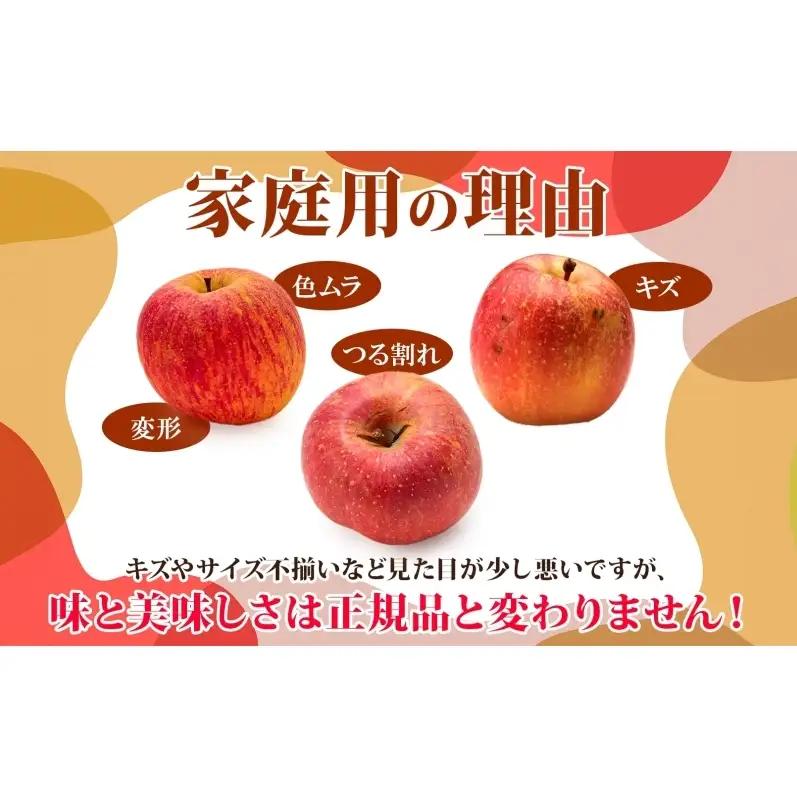 りんご ぐんま名月りんご 青森県産 家庭用ぐんま名月 りんご【約3kg】【2月発送】