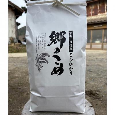 ふるさと納税 京丹後市 京都・網野郷産 特別栽培米コシヒカリ 精米5kg  京のプレミアム米「最高金賞」受賞
