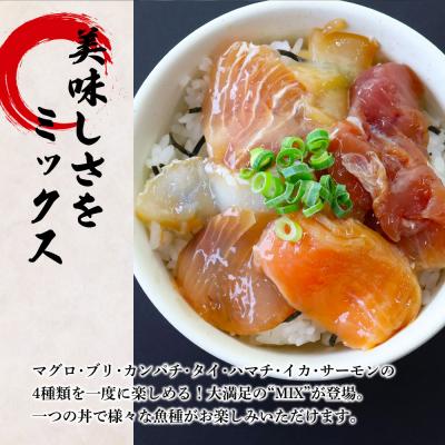 ふるさと納税 田野町 【四国一小さなまち】これが魚屋の漬け丼だ!〜海鮮ミックス〜80g×10パック |  | 01