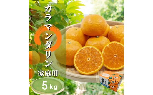 【2027年4月下旬頃から順次発送】カラマンダリン 家庭用 5kg | 愛媛 みかん 柑橘 お取り寄せ グルメ 期間限定 数量限定 人気 おすすめ 愛媛県 松山市