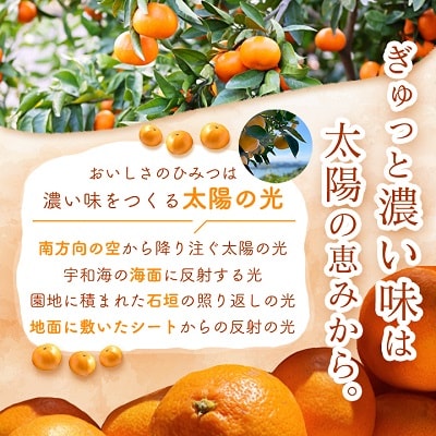 三代目がつくる愛媛みかん 7.5kg【訳あり(家庭用)】【C31−17】【1120067】