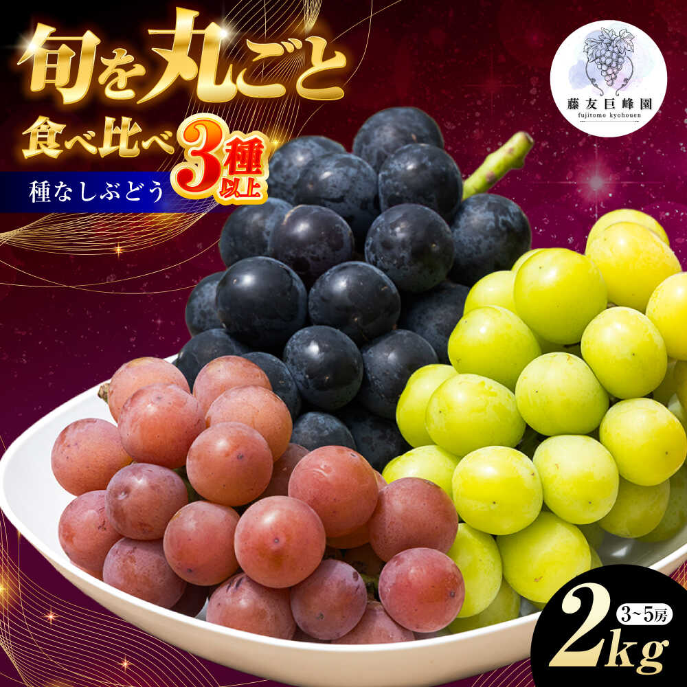 【ふるさと納税】＜赤秀＞ 種無しぶどう 食べ比べ セット 3〜5房 2kg ／ ぶどう ブドウ 葡萄 果物 フルーツ 国産 産地直送 農家直送 愛媛県 内子町産 人気 おすすめ 送料無料 旬 甘い 夏 贈り物 ギフト プレゼント 【藤友巨峰園】[BKCI001] 20000 20000円 2万 2万円