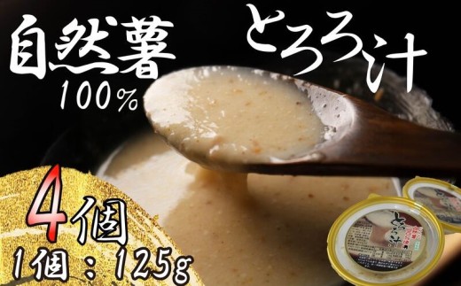 【とろろ】 自然薯 100％ 冷凍 125g×4個 小分け セット とろろ汁 長芋 山芋 お手軽  農林水産省賞 受賞 ご飯 お供 そば つけ汁 健康 栄養 夏 バテ とろろ芋 個包装 静岡県 藤枝市