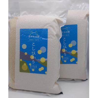 ふるさと納税 揖斐川町 あすかの恵　こしひかり　精米(真空パック)4.5kg×2袋　(岐阜県揖斐川町)