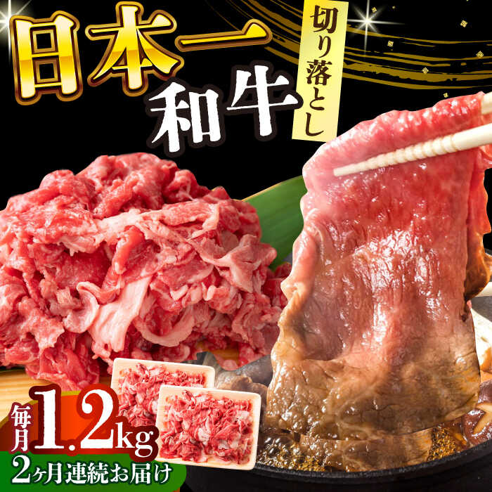 【ふるさと納税】【2回定期便】【A4〜A5】長崎和牛 切り落とし 1.2kg(600g×2）【株式会社 MEAT PLUS】[DBS057] 切り落とし きり落とし きりおとし 国産 国産和牛 贅沢 牛 和牛 牛肉