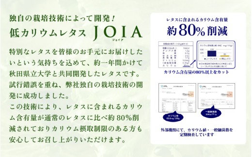 定期便 ≪2ヶ月連続お届け≫ 【機能性×美味しさ】低カリウム水耕レタス JOIA（ジョイア） 約65g×20袋（栽培期間中農薬不使用・洗わず食べられる）【野菜 生野菜 レタス サラダ お弁当 水耕栽培 洗わず食べられる 時短 付け合わせ】[m40-d005]