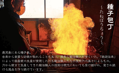 種子島 伝統工芸 種子 包丁 片刃刺身 24cm 紫檀柄　NFN620【2425pt】 