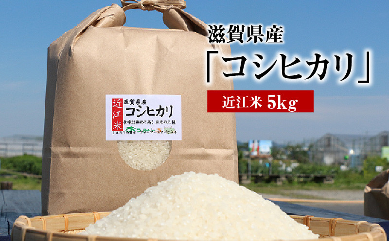 
令和６年産　近江米「コシヒカリ」 5kg
