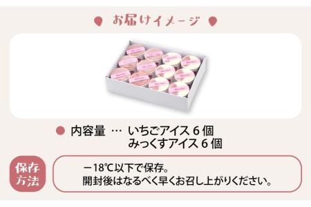 自家製カップアイス2種セット（いちご 6個 & みっくす 6個） [A-045002]