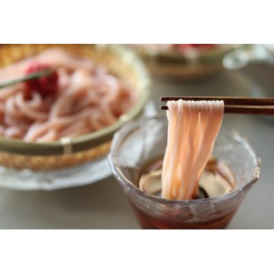ふるさと納税 湯浅町 丸ざる梅うどん　5食