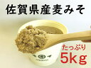 【ふるさと納税】佐賀県産　麦みそ5kg：B220-019