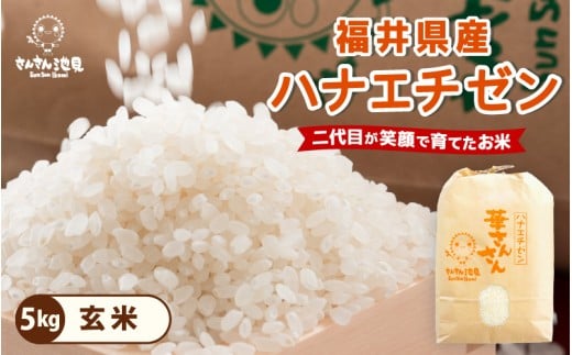 【先行予約】【令和7年産・新米】ハナエチゼン 5kg 華越前 ～坂井市三国町産・こだわりの精米対応～（玄米）【2025年8月下旬以降順次発送予定】 [A-0255_04]
