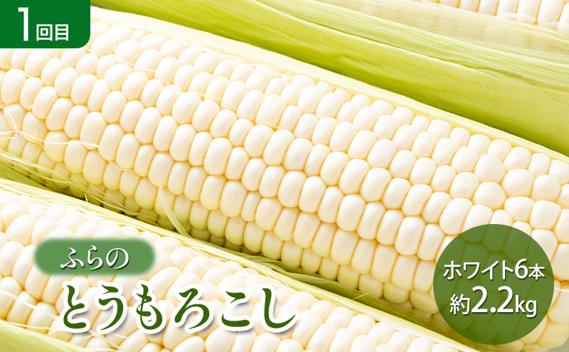 【2026年夏～秋発送】 定期便 3ヵ月 旬を味わう 基本野菜セ