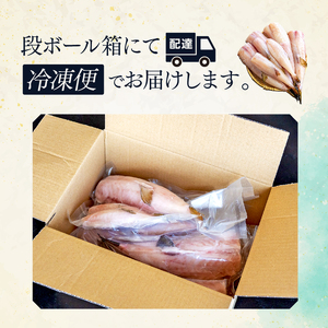 訳あり サバフグ むき身 2kg ( 500g × 4パック ) 鍋 唐揚げ 塩 焼き 小分け 魚 さかな 魚介 海鮮 新鮮 海の幸 フグ グリル 冷凍 愛知県 南知多町 人気 おすすめ 【離島不可】