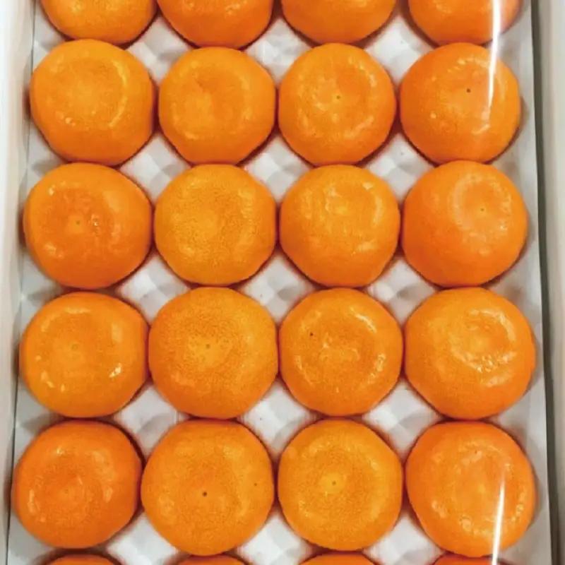 みかん 赤秀品 紀州和歌山ハウスみかん2.5kg【uot735A】