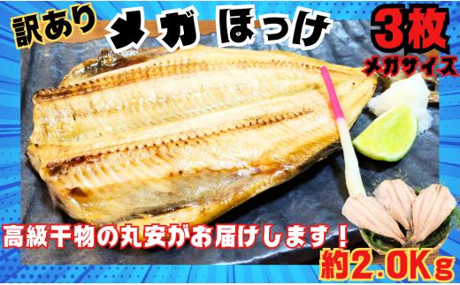 訳あり ほっけ メガほっけ開き 特大サイズ ３枚 約2.0㎏ ほっけ ホッケ 縞ほっけ 縞ホッケ 縞ほっけ干物 縞ホッケ干物 特大 メガサイズ 干物 創業90余年 干物専門店 高級干物 和食 酒の肴 グルメ つまみ おつまみ ビール 日本酒 酒 老舗 国内 厳選 贈り物 国内 製造 ひもの 魚 魚料理 千葉県 銚子市 【丸安】