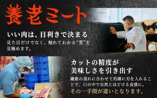 【9月発送】 飛騨牛 ロースまたはカタロース 720g 360g×2P 岐阜県産 すき焼き しゃぶしゃぶ 鍋 黒毛和牛 肩ロース ロース カタロース スライス 霜降り 牛肉 牛 国産 お取り寄せ ごち