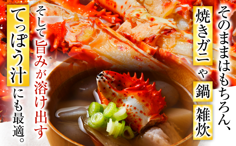 【北海道根室産】花咲かに700g×2尾(計1.4kg) F-20013