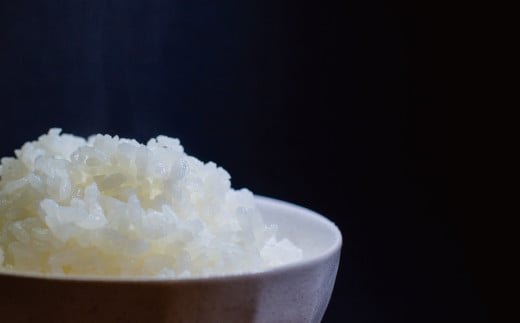 【玄米】【令和7年産】有機JAS 七城産 ひのひかり 5kg《30日以内に出荷予定(土日祝除く)》