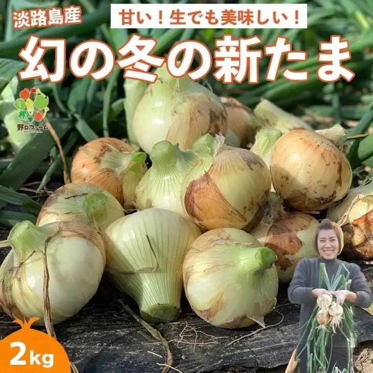 【野口ファーム】幻の冬の新たまねぎ 2kg　◆配送12月～