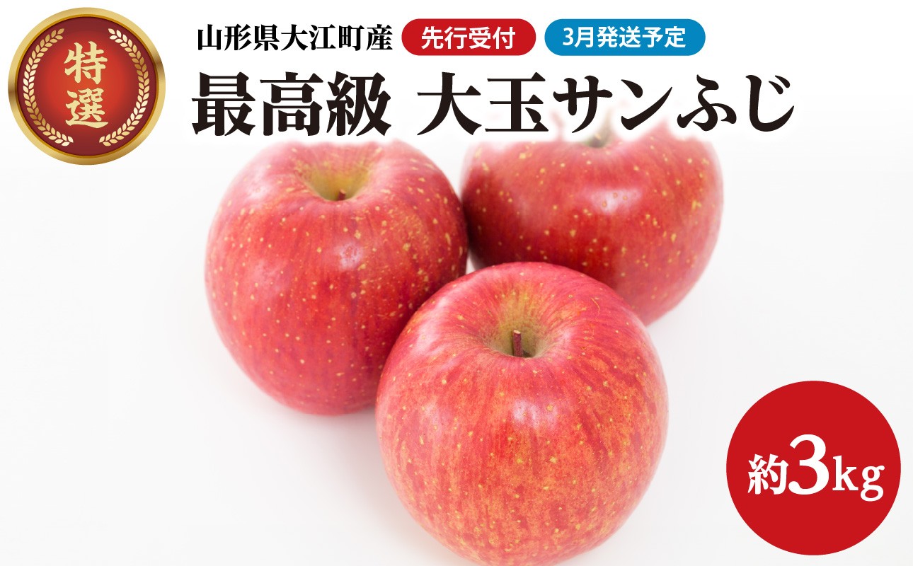 
            《先行予約》【3月発送予定】 最高級 特選大玉サンふじ約3kg【大江町産・山形りんご・大地農産】 【028-035】
          