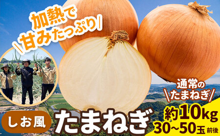 しお風たまねぎ 約10kg《6月上旬-6月末頃出荷(土日祝除く)》玉ねぎ たまねぎ 野菜 青果物 岡山県 笠岡市