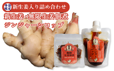 【ふるさと納税】＜新生姜1kg・佃煮1袋・シロップ1個＞農家の嫁の生姜佃煮1袋70g ジンジャーシロップ200ml クラフトジンジャー 掘りたて 土付き 新ショウガ 露地生姜 1kg ごはんのお供（C） ginger 農奥 高知 詰め合わせ ＜2026年11月下旬～12月上旬ごろ発送予定＞