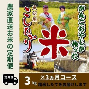 【令和７年産新米予約】３か月定期便　がんこおやじが作った南魚沼産コシヒカリ白米３kg【2025年10月20日頃より順次発送予定】