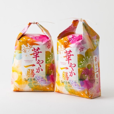 【毎月定期便】蛇紋岩ブランド 華やか一膳 10kg(5kg×2)全6回【4071009】