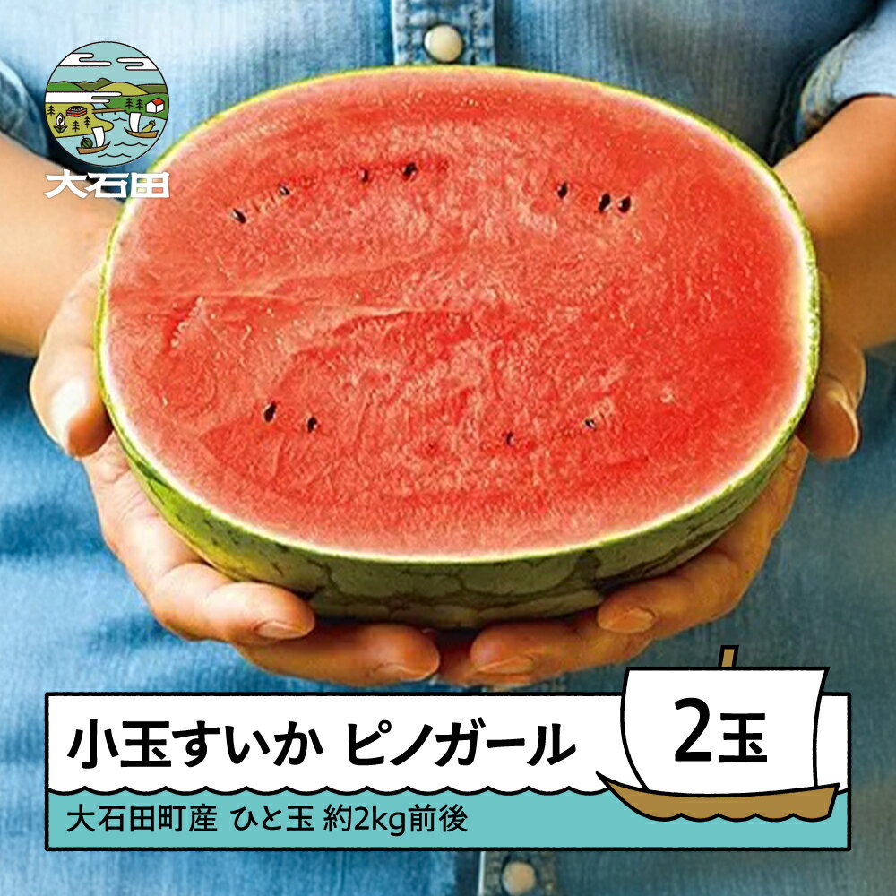 【ふるさと納税】すいか 小玉すいか ピノガール 約2kg前後×2玉 2026年産 令和8年産 送料無料 スイカ 山形県産 大石田町産 mn-sukxx2