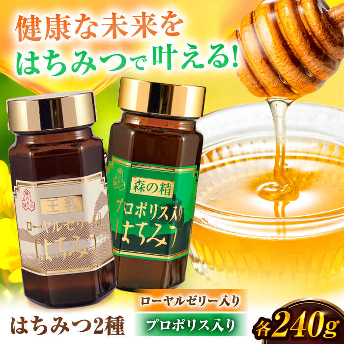 【ふるさと納税】ローヤルゼリー入りはちみつ プロポリス入りはちみつ セット 計480g（240g×2）　広川町 / 株式会社九州蜂の子本舗[AFAI023]