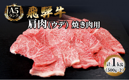 
飛騨牛 焼肉 肩肉 (ウデ) 500g×2 計1kg A5 和牛 牛肉 ブランド牛 BBQ バーベキュー 贈り物 贈答 ギフト キャンプ アウトドア 炭火 保存に便利
