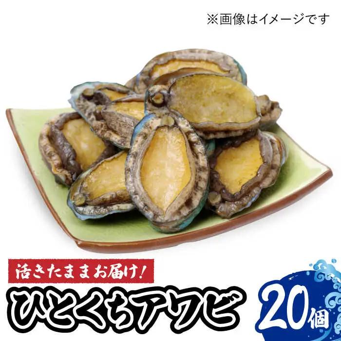 上五島産養殖ひとく アワビ 活 厳選 20個 刺身 ステーキ 生[RAE001] アワビ あわび 刺身 五島 アワビ あわび 刺身 五島 アワビ あわび 刺身 五島九州 長崎