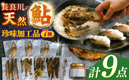 ［清流長良川］おかえり鮎　珍味加工品7点セット あゆ 塩焼き 寿司 甘露煮 炊き込みご飯 岐阜市 / 若鶏の春近[ANDL011]