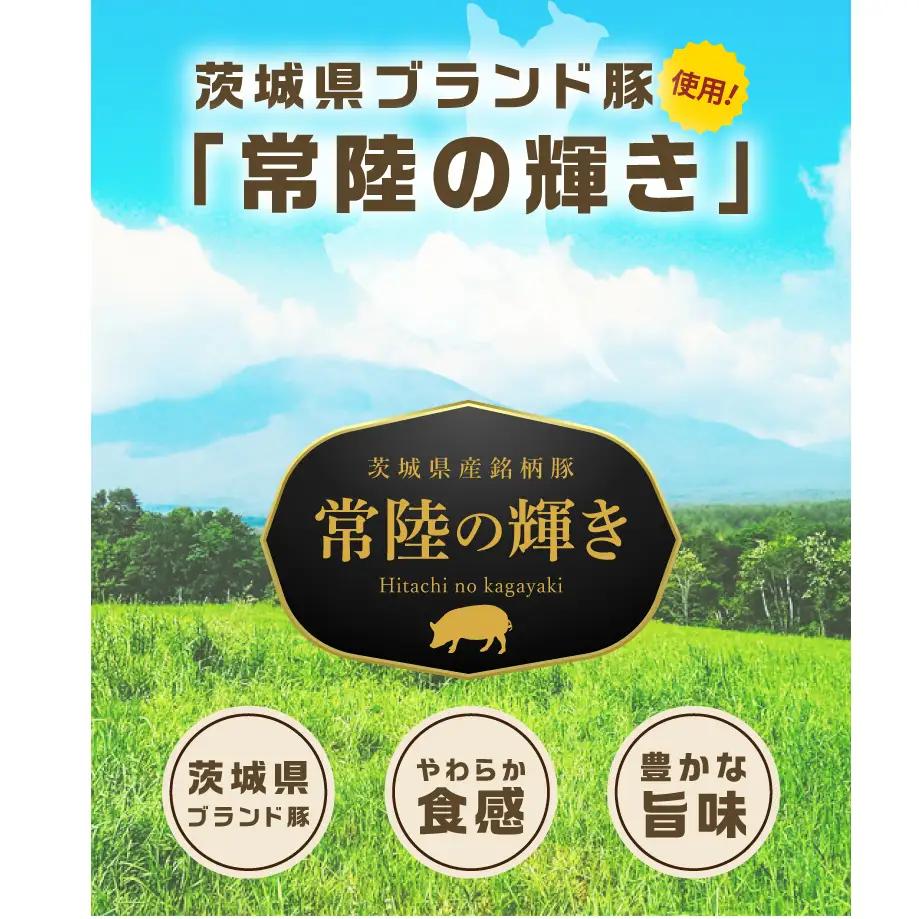 常陸の輝き アイスバイン 2個合計1400g 豚肉 骨付きハム 惣菜 お取り寄せ グルメ 人気 冷凍 ドイツ料理 おかず ご当地グルメ ディナー ごちそう パーティー【茨城県共通返礼品/つくば市】（1