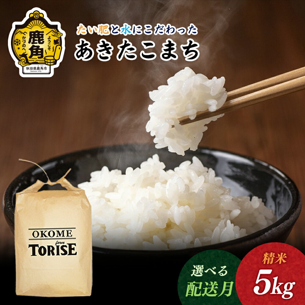 【ふるさと納税】令和7年産 あきたこまち 5kg 米 精米 白米 単一原料米 国産米 ブランド米 数量限定 期間限定 選べる 発送時期 選択 白米 もっちり 県産米 お米 こめ コメ 秋田県 あきた 鹿角市 鹿角 送料無料 【トライズ】