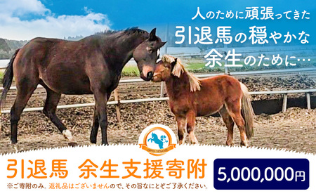 【返礼品なし】引退馬余生支援寄附 5,000,000円 一般社団法人オープンセサミアライブ 熊本県 南阿蘇村 馬 ウマ 支援 競走馬 引退馬 生活支援 動物愛護 保護 返礼品なし 寄附 牧場 オープンセサミ アニマルサンクチュアリ