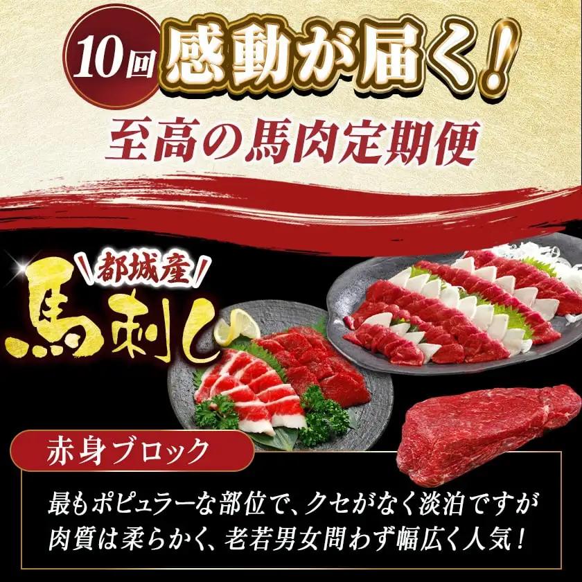 都城産馬!馬!馬尽くし定期便(10ヵ月)〔T80(10)-0101〕_(都城市) 定期便 馬刺しブロック ( ロース 赤身 タテガミ フタエゴ )  馬ハンバーグ 馬生ハム 馬すじ煮込み 10ヵ月定期
