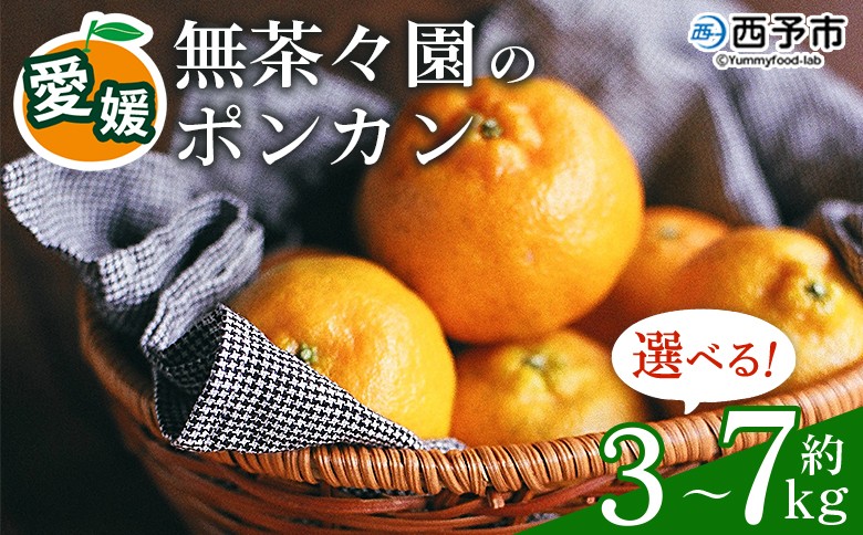 
                  無茶々園のポンカン 約3kg～7kg　果物 くだもの フルーツ 選べる内容量 ぽんかん みかん 蜜柑 柑橘類 かんきつ 旬 甘い 濃厚 新鮮 期間限定 季節限定 産地直送 特産品 愛媛県 西予市 【常温】
                