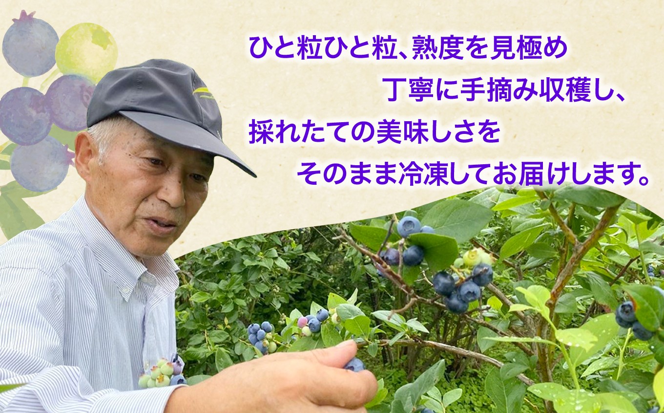 「農薬・化学肥料を使用せずに栽培されていること」を示す、宮城県認証の生産ほ場の証です。化学肥料だけでなく、有機肥料も与えません。