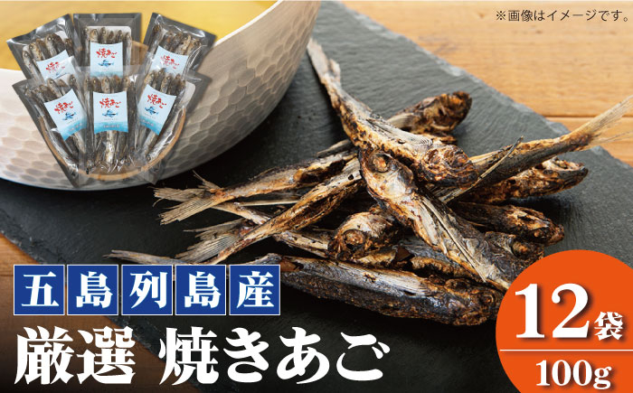 
【五島列島産】 厳選 焼きあご 100g×12袋【新魚目町漁業協同組合】 [RBC004]
